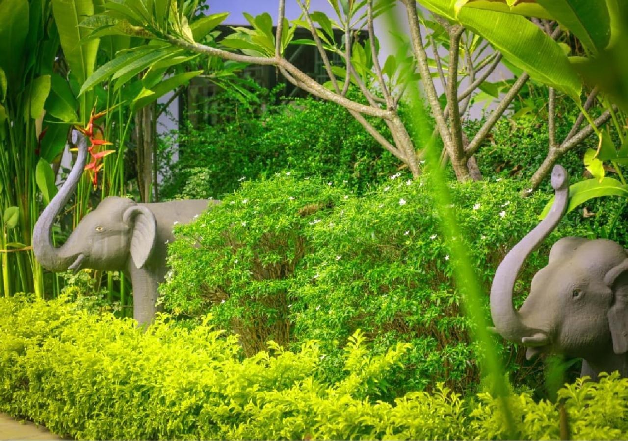 ลาเดียร์ พริวิเลจ รูม Hotel เสียมราฐ ภายนอก รูปภาพ